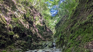 PXL_20220827_003249584