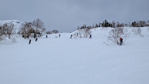 PXL_20260405_004444355