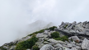 PXL_20220806_023750518