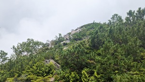 PXL_20220806_010524799