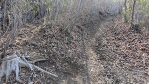 PXL_20260308_003715768