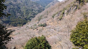 PXL_20260228_020316055~2