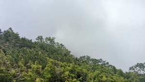 PXL_20220806_010532704