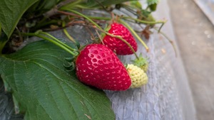 PXL_20260328_012709370