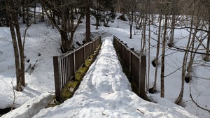 PXL_20260228_235930073