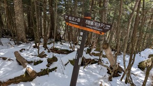 PXL_20260314_025707882