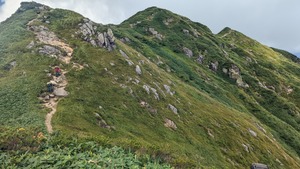 PXL_20220904_024933230