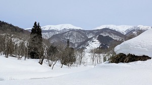 PXL_20260322_033134111~2