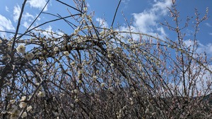 PXL_20260228_014213917