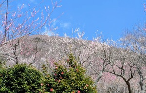 PXL_20260228_014251062~2