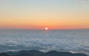 PXL_20220806_200008730~2