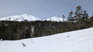 PXL_20260405_001022749