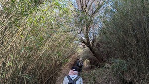 PXL_20260228_041021870