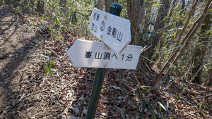 PXL_20260308_000040759