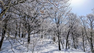 PXL_20260301_025052450~2