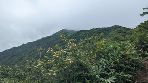 PXL_20220904_035842360
