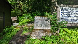 PXL_20220805_215729980