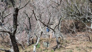PXL_20260228_015005902