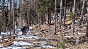 PXL_20260314_023558930