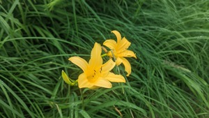 PXL_20220903_042335002