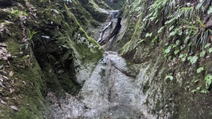 PXL_20220827_050306247