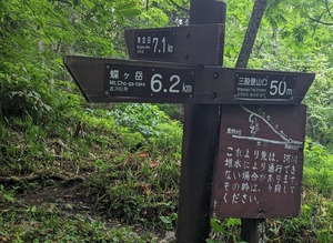 PXL_20220807_025107011