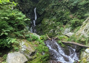 PXL_20220820_015815270