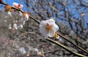 PXL_20260228_013548018~2