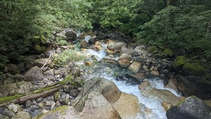 PXL_20220807_024352547