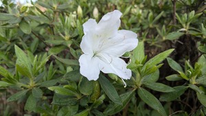 PXL_20260411_071014209