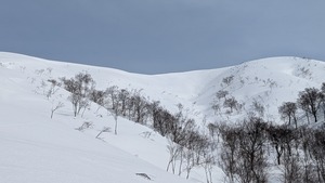 PXL_20260322_015141650