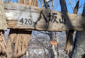 PXL_20260308_000520316