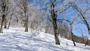 PXL_20260301_040418232~2