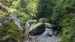 PXL_20220827_003753389