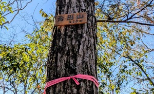 PXL_20260308_021637692~2