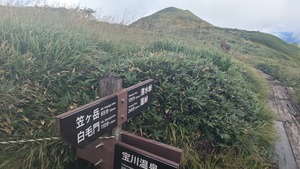 PXL_20220904_014058082