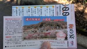 PXL_20260228_011334790