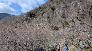 PXL_20260228_020248111