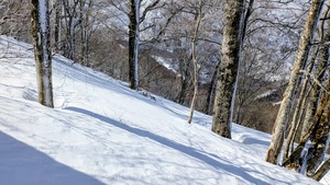 PXL_20260301_024829146~2