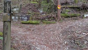 PXL_20260411_232942885