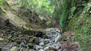 PXL_20220827_011817481