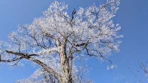 PXL_20260301_025629874~2