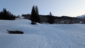 PXL_20260321_212534054