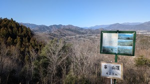 PXL_20260308_000205263