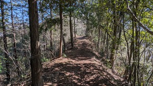 PXL_20260308_011520538