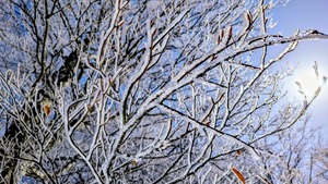 PXL_20260301_025042408~3