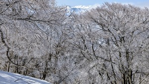 PXL_20260301_034508957~2