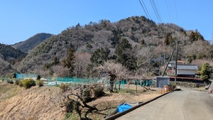 PXL_20260308_015944521