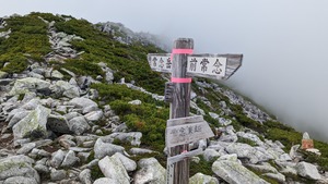 PXL_20220806_024806893