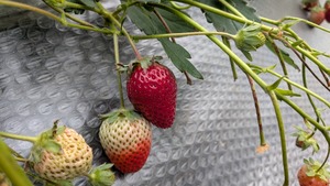 PXL_20260328_010441425